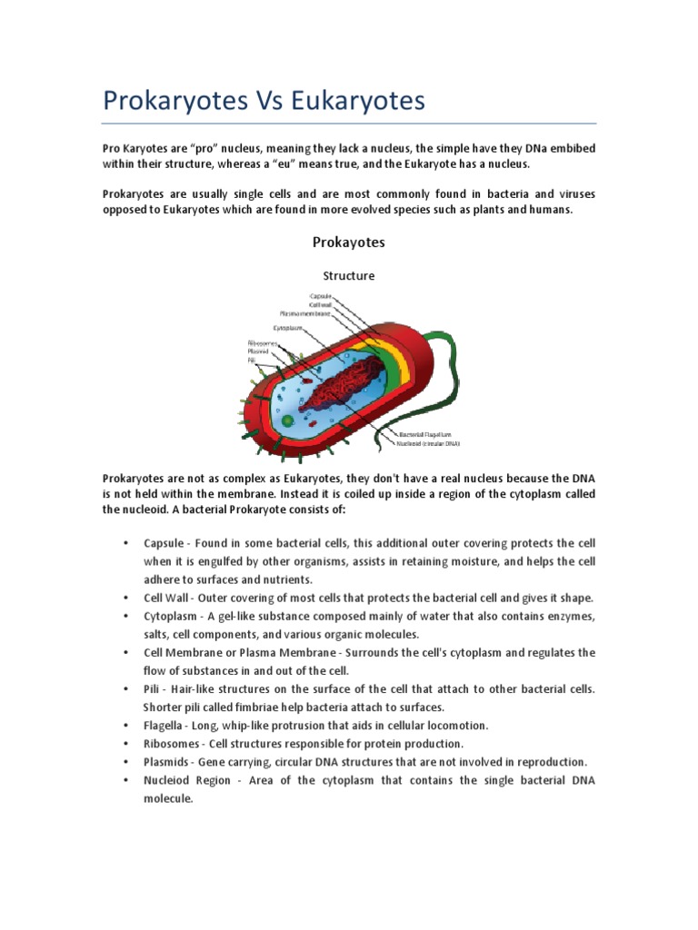 Prokaryotes Vs Eukaryotes | PDF | Prokaryote | Cell (Biology)