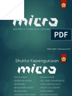 MICRO.pdf