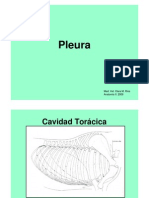 Pleura 21.9.09