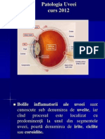 6.Patologia Uveei