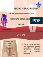 T Citologicas Vulva