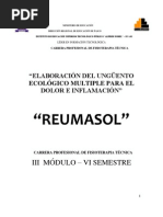 Download nn  Reumasol Fin Pomada Multiple Dolor nn by Medicina Fisica Rehabilitacion Integral SN128158516 doc pdf