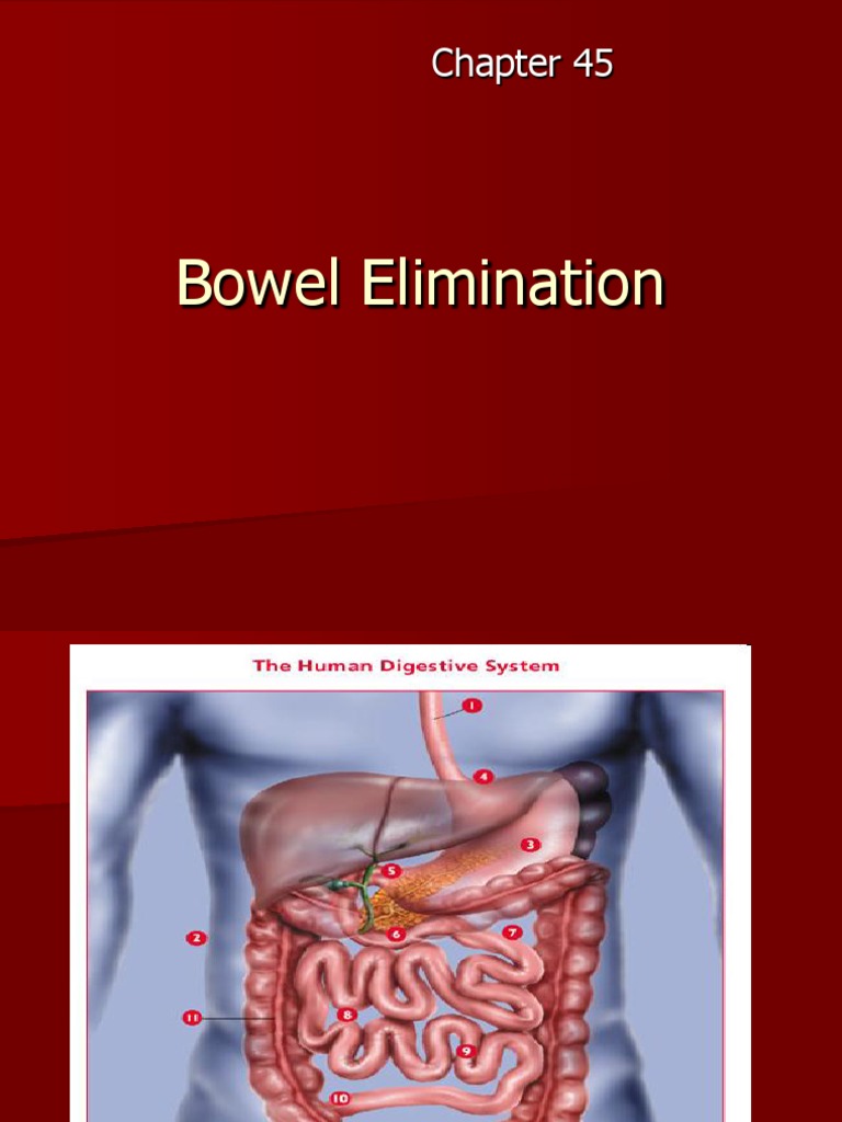 Bowel Elimination PDF Gastrointestinal Tract Constipation