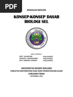 Download Konsep-Konsep Dasar Biologi Sel by Pipit Yogantari SN128171046 doc pdf