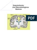 Esquizofrenia Aspectos Neurobiolgicos Bsicos