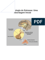 Neurobiologia do Estresse: Uma Visão Inicial