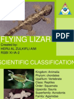 About Flying Lizard