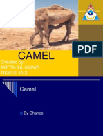 Camel: Created By: Miftahul Munir Rsbi Xi-Ia-2