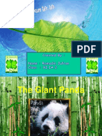 About Panda