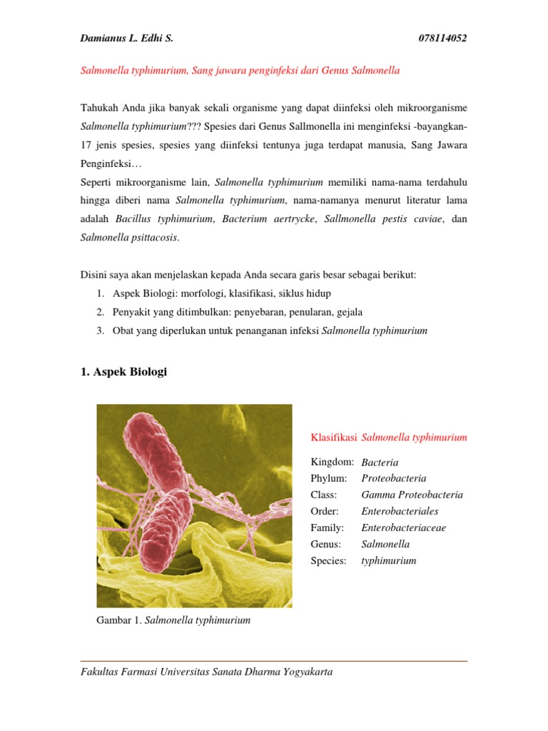 Salmonella Typhimurium1