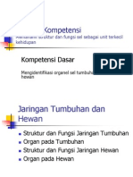 Jaringan Tumbuhan Dan Hewan