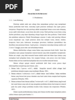 Download Modul Petrologi Batuan Beku by Delta Milano SN128199797 doc pdf