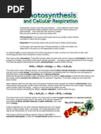 ABO Blood Type Worksheet | Genotype | Allele