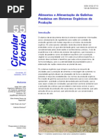 Alimentação de Galinhas