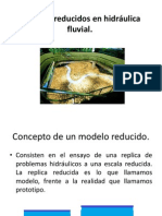 Modelos Reducidos en Hidráulica Fluvial 1