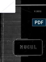 Nucul