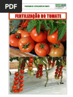 99034950 Fertilizacao Do Tomate