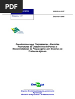 Pseudomonas spp - Bactérias Promotoras de crescimento de plantas e biocontroladoras de Fitopatógenos em sistemas de produção agrícola