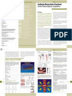 2005 Avaliação Biomecânica Funcional na dor crônica músculo-esquelética