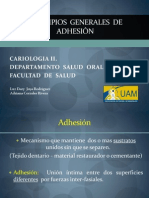 principiosgeneralesdeadhesion-111217204533-phpapp02.pdf