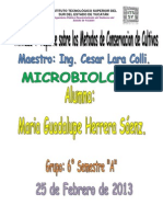 Actividad 4 - Microbiologia