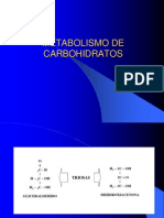 CARBOHIDRATOS