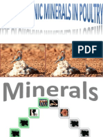 Organic Mineral and Poultry