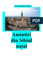 Amintiri Din Sibiul Natal