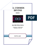 David Wilcock El Cosmos Divino
