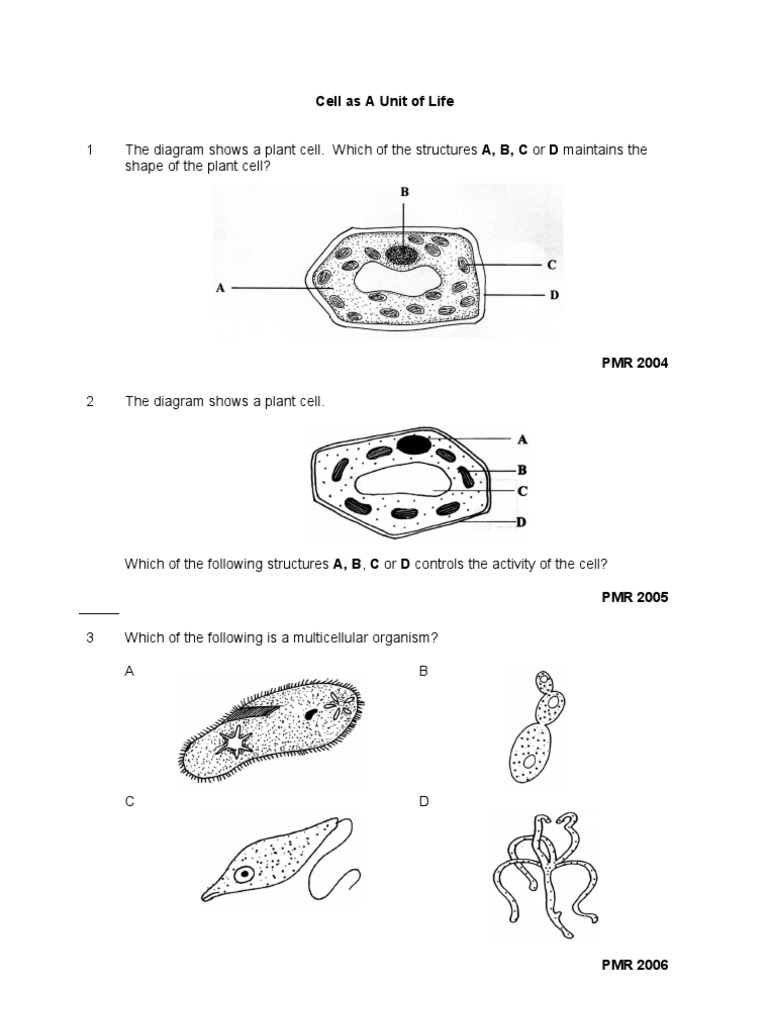 Contoh Soalan Esei Bab 4 Tingkatan 4 - Contoh Kar