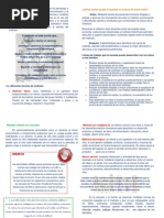 Folleto para Docentes Sobre Maltrato Infantil