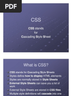 CSS CSS