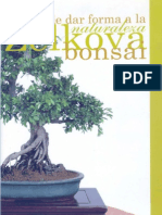Bonsai Zelkova