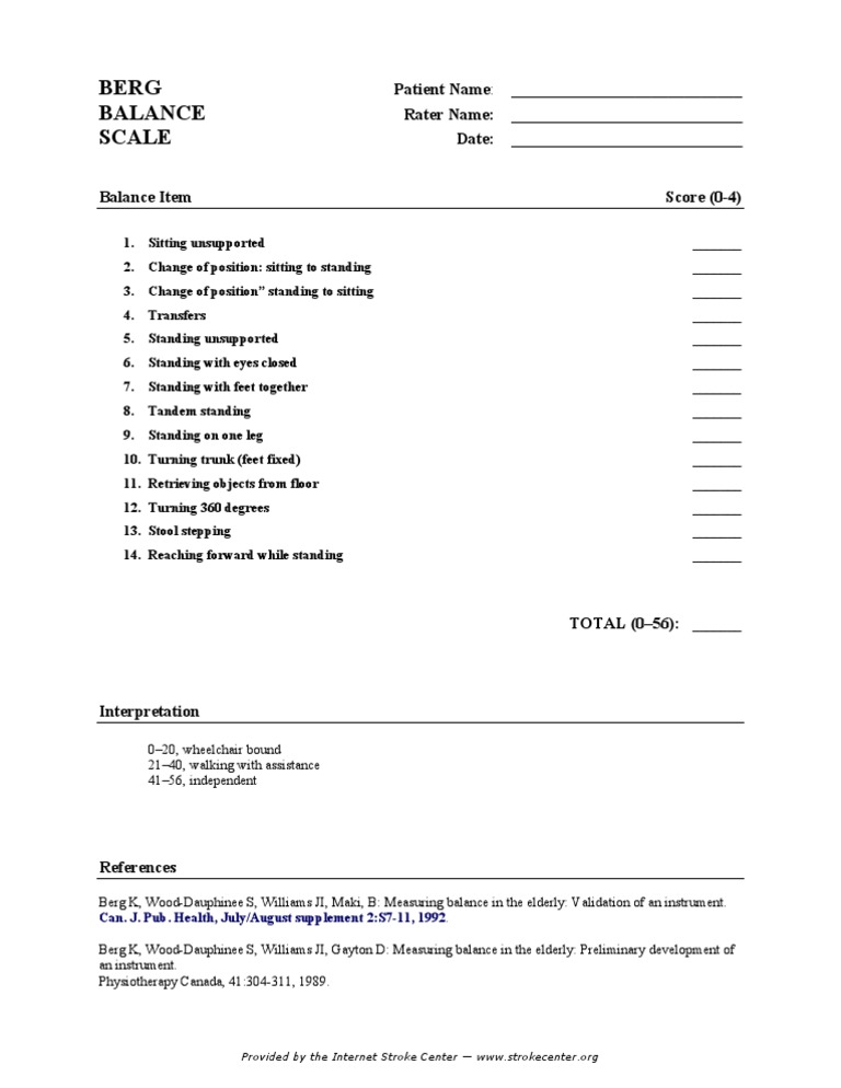 Berg Balance Scale Assessment Form | PDF