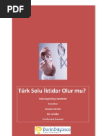 Turk Solu Iktidar Olur Mu