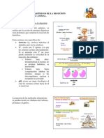 Guion Practica Digestivo PDF