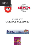 apparato circolatorio