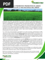 PROBIOMA Y PROBIOTEC PROMUEVEN EL ARROZ ORGANICO
