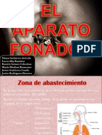 Funcionamiento Del Aparato Fonador