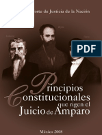 Principios Constitucionales Que Rigen El Juicio de Amparo