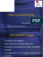 CIRCULACION FETAL. Seminario Perinatal