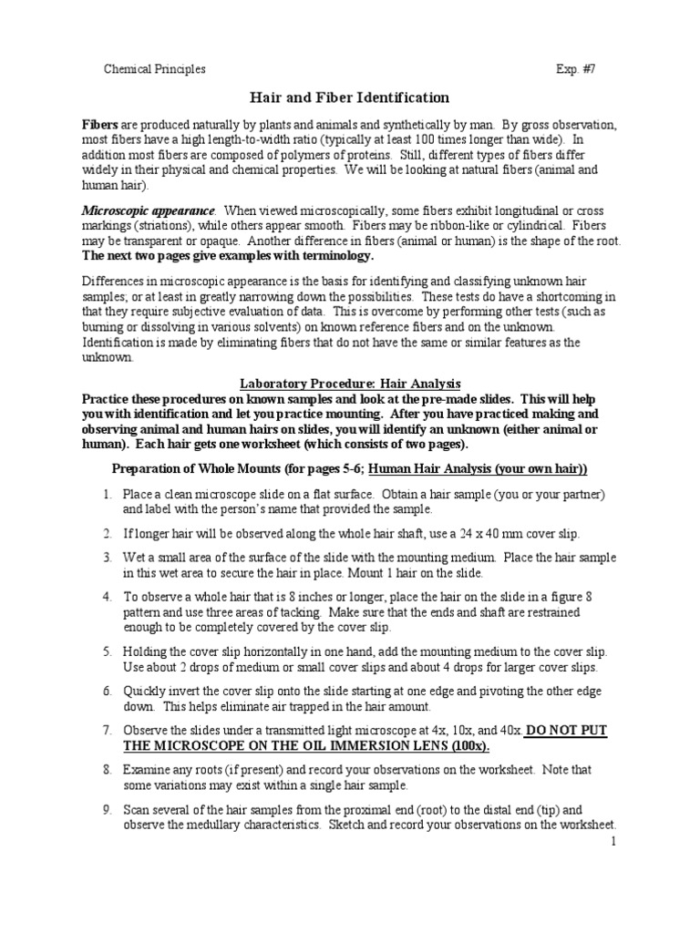 Hair Fiber PDF Fibers Hair