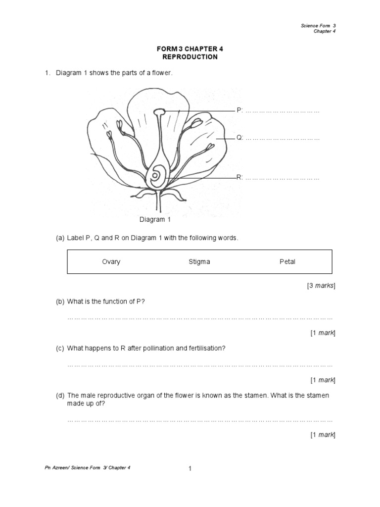 Exercise Set2 Form 3 Chapter 4 Pdf