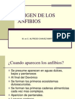 Origen de los primeros anfibios en el Devónico