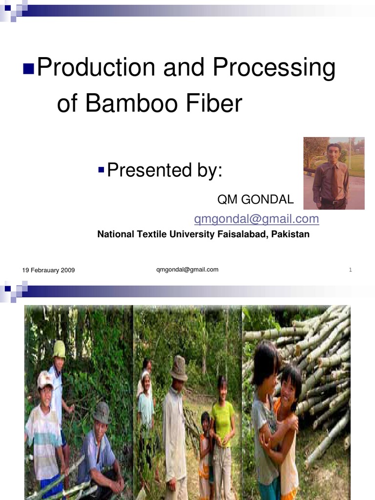 Production and Processing of Bamboo Fibre Yarn Fibers