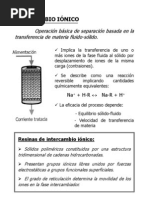 SeminarioIntercambioIonico07-08