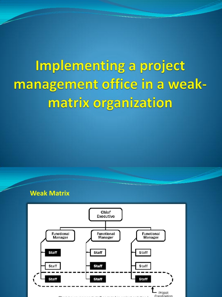 Building an Effective PMO in Weak Matrix | PDF | Project Management ...