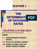 Exchange Rates Determination