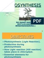 Photosynthesis