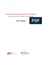 Gtz2010 en Small Scale Electricity Generation From Biomass Part 2